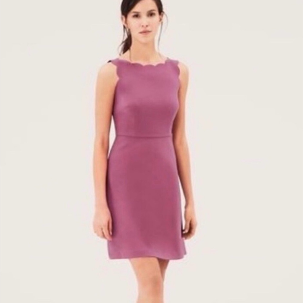 Loft Pink Scalloped Dress 2 Petite
